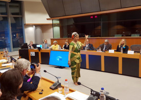 A taste of the Indian dance culture A taste of the Indian dance culture