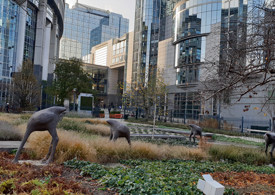 Politics, too Politics, too